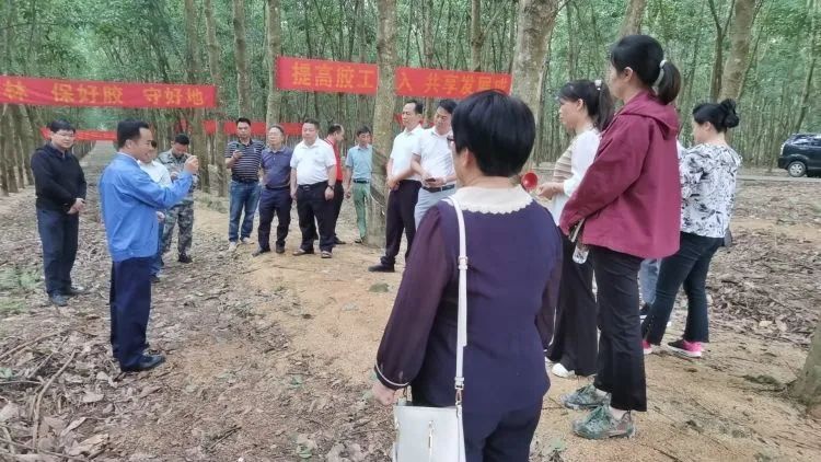 全國割膠冠軍張健給各單位學(xué)員做標準化膠園建設及割膠技術(shù)的經(jīng)驗介紹。.jpg